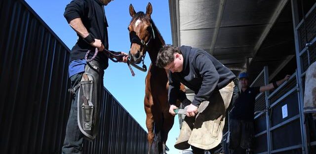 How Australian Horse Racing Creates Business Opportunities How Australian Horse Racing Creates Business Opportunities