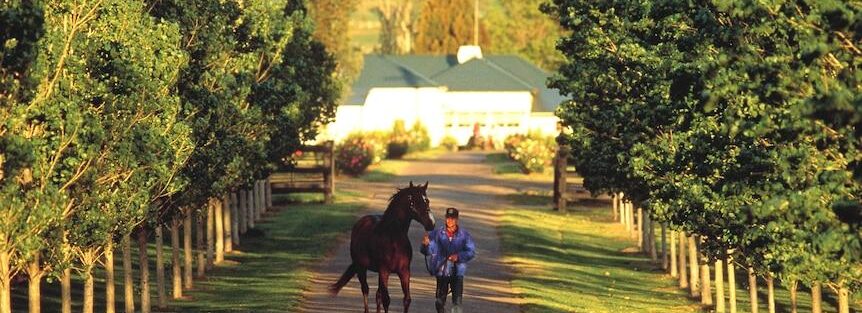 How Horse Racing Supports Business and Local Communities Across Australia How Horse Racing Supports Business and Local Communities Across Australia