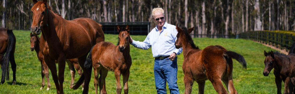 The Business Opportunities Created by Australian Horse Racing The Business Opportunities Created by Australian Horse Racing